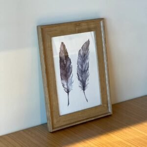 Cuadro Decorativo Pluma 38x30 cm