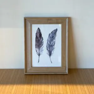 Cuadro Decorativo Pluma 38x30 cm