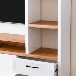 Modular TV Osaka
