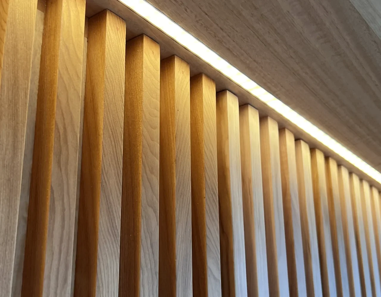 Proyecto Los Montes Espacio Hogar